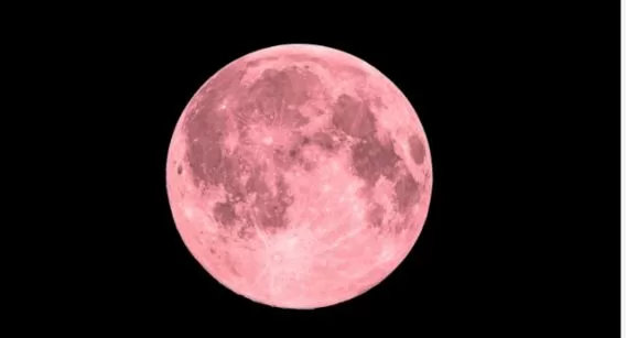 Pink Moon 2024