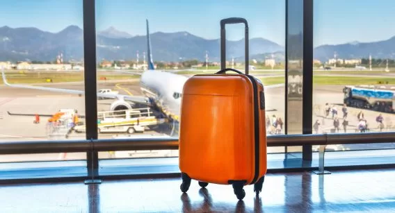 Skybags luggage